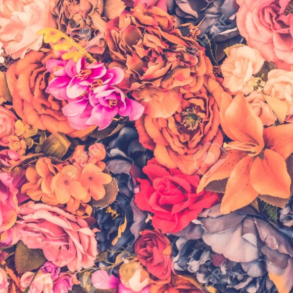 thriftfindsby_p